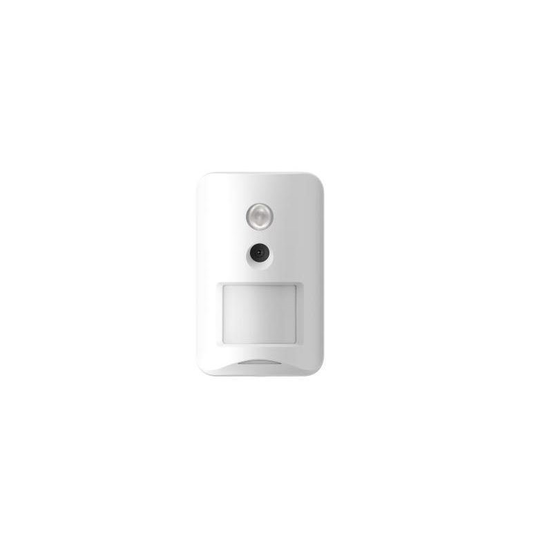 Wireless Pircam AXHome