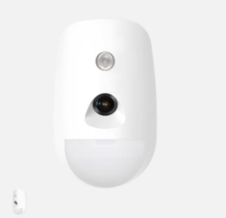 Detector PIR + Camara cab