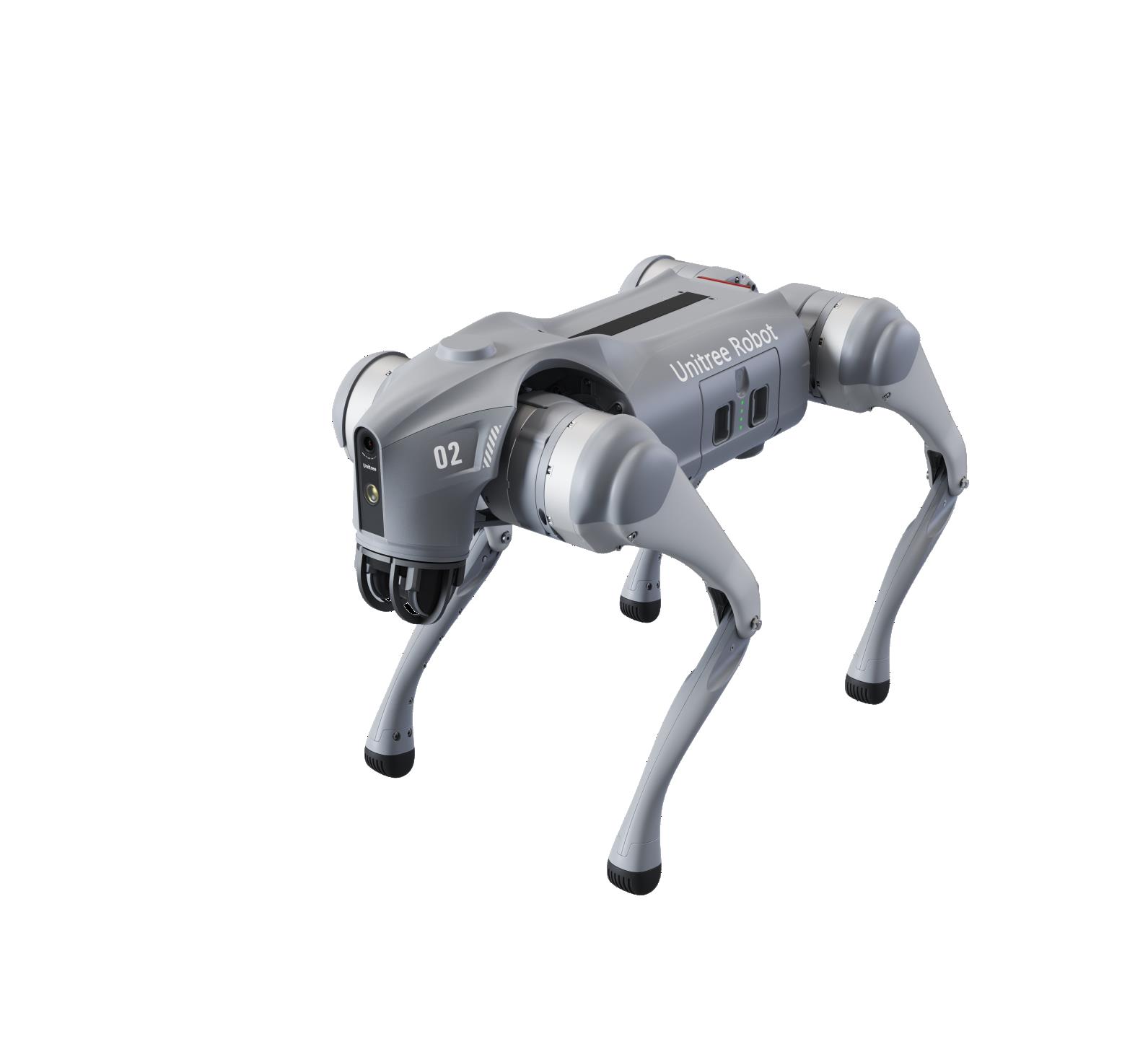 Unitree Robot Dog
