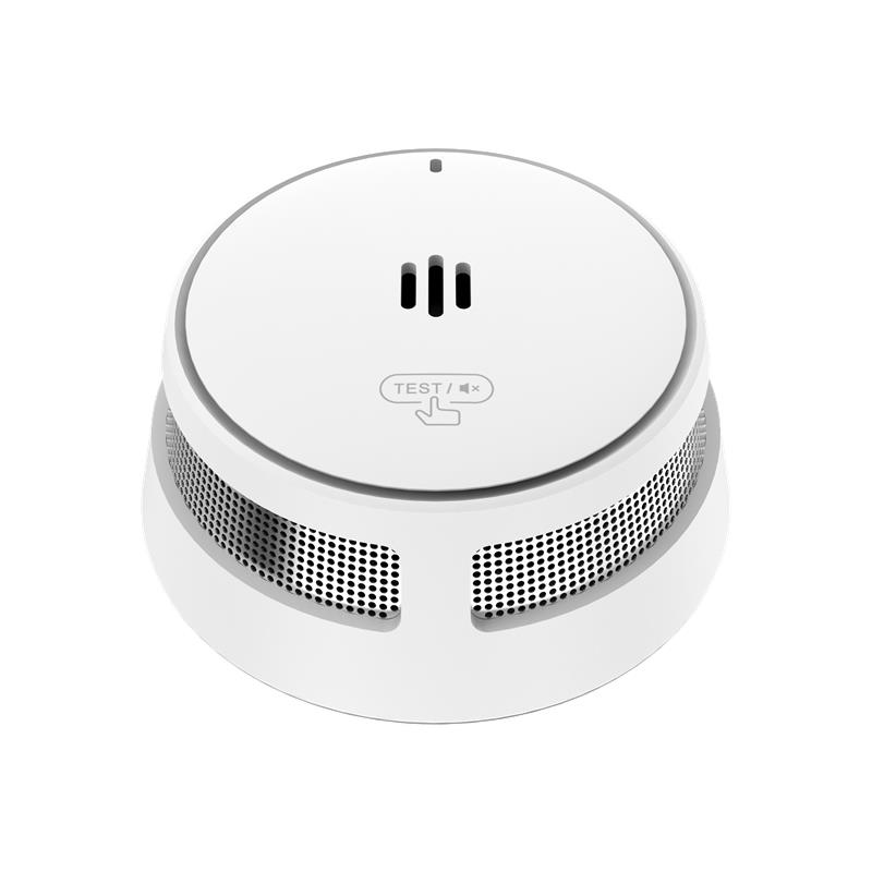 Standalone Smoke Alarm